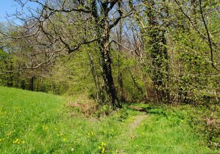 De belvédères en panoramas