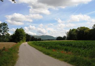 La marche rapide du loup