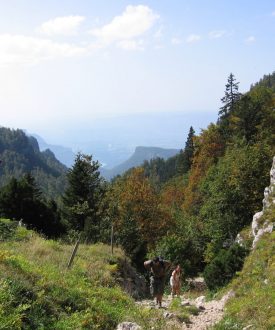 La montée à l’alpage