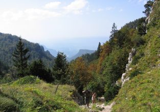 La montée à l’alpage