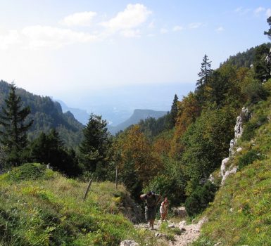 La montée à l’alpage
