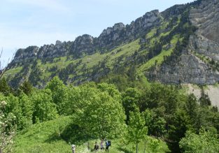 La montée à l’alpage