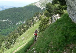 La montée à l’alpage