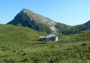 La montée à l’alpage