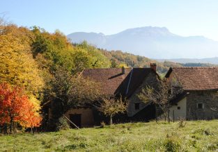 Empreintes de Chartreux