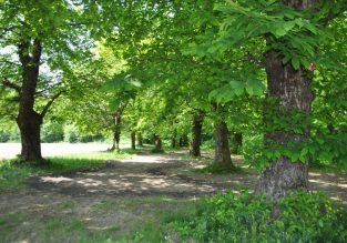 Le parcours du marché