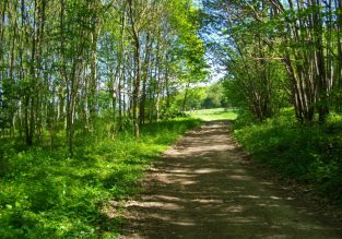 Fontaine Mignonne, l’autre forêt !