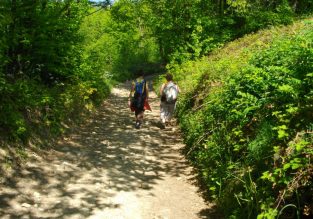 Fontaine Mignonne, l’autre forêt !