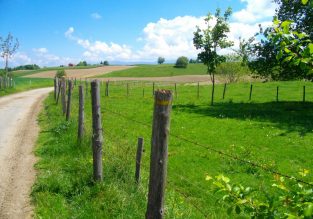 Fontaine Mignonne, l’autre forêt !