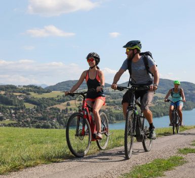 Espace VTT