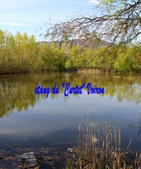 Cours d’initiation à la pêche