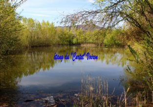 Cours d’initiation à la pêche