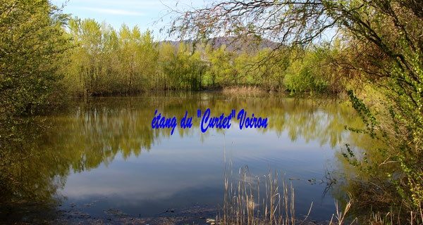 Cours d’initiation à la pêche