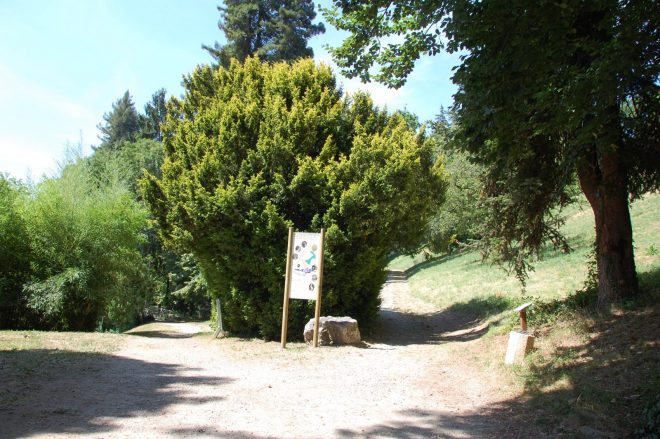 Bontanic Trail, Abfahrt