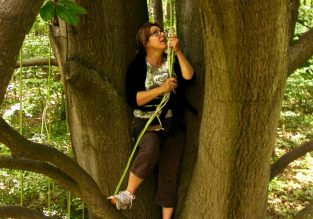 Voyage d’arbre en arbre avec Sam’Branche