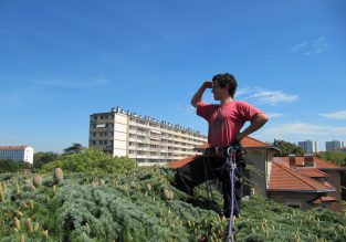Voyage d’arbre en arbre avec Sam’Branche