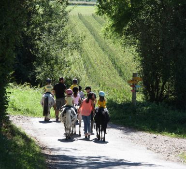 Pour mon anniversaire : tout le monde à poney à Crossey !