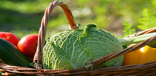 Vente de légumes aux Biaux Légumes Massieutins