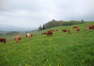 Vente de viandes et charcuteries à la ferme le Mont Charvet