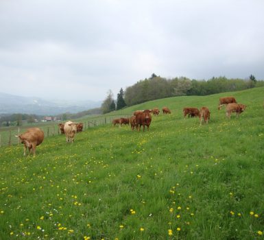 Vente de viandes et charcuteries à la ferme le Mont Charvet