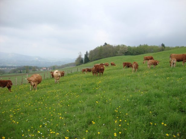 Bauernhof Mont Charvet Velanne
