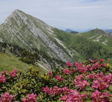 Massif de la Chartreuse